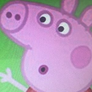 Meet your Posher, Bella